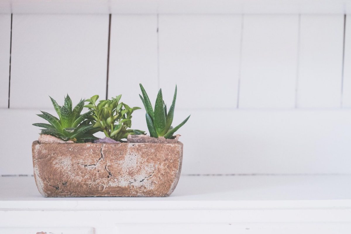 Aménager un petit balcon ou petit jardin: guide pratique
