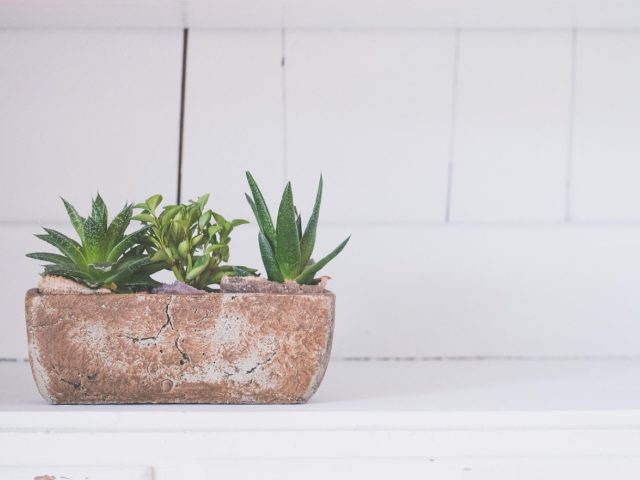 Aménager un petit balcon ou petit jardin: guide pratique