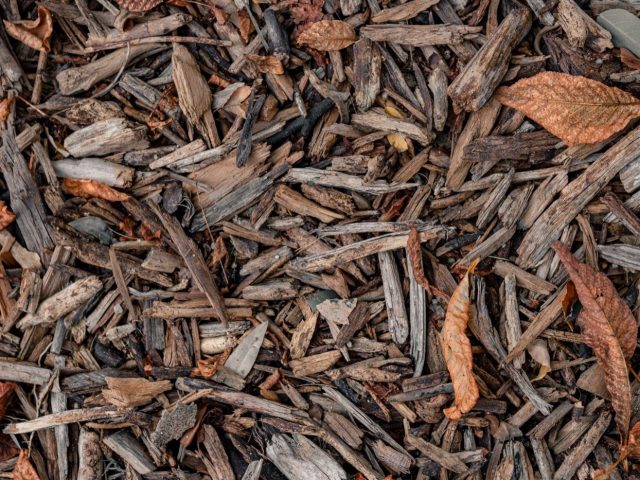 Comparatif broyeurs de déchets végétaux pour jardin