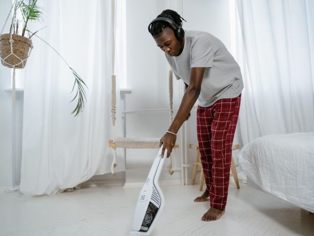 Avis Dyson aspirateur balai pour maison à sols mixtes et animaux