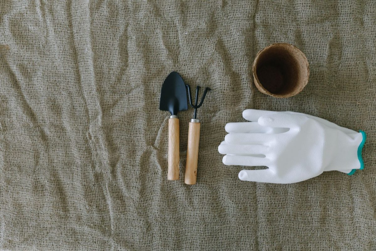 Meilleurs outils pour petit jardin ou balcon — guide rapide