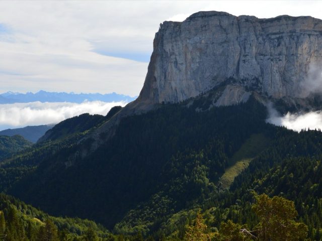 Réparations simples : portée, diagnostic et limites