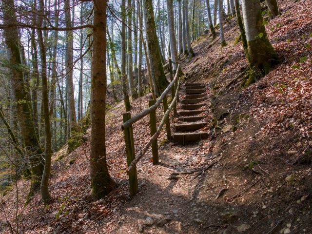Compléments sportifs à domicile : règles et précautions